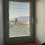 Lajk *
