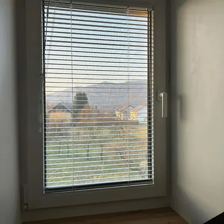 Lajk *