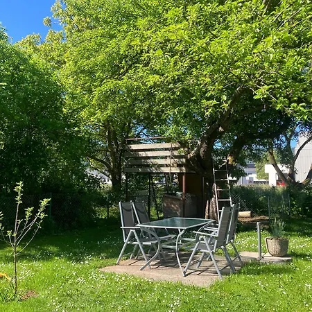 Lajk Lesce (Upper Carniola)